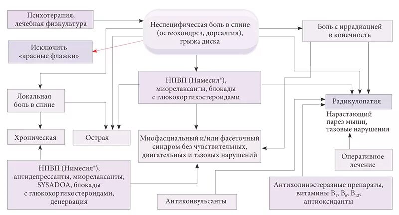 Дорсалгия богачева. Схема лечения боли. Алгоритм лечения боли в спине. Схема лечения поясницы. Схема лечения остеохондроза.