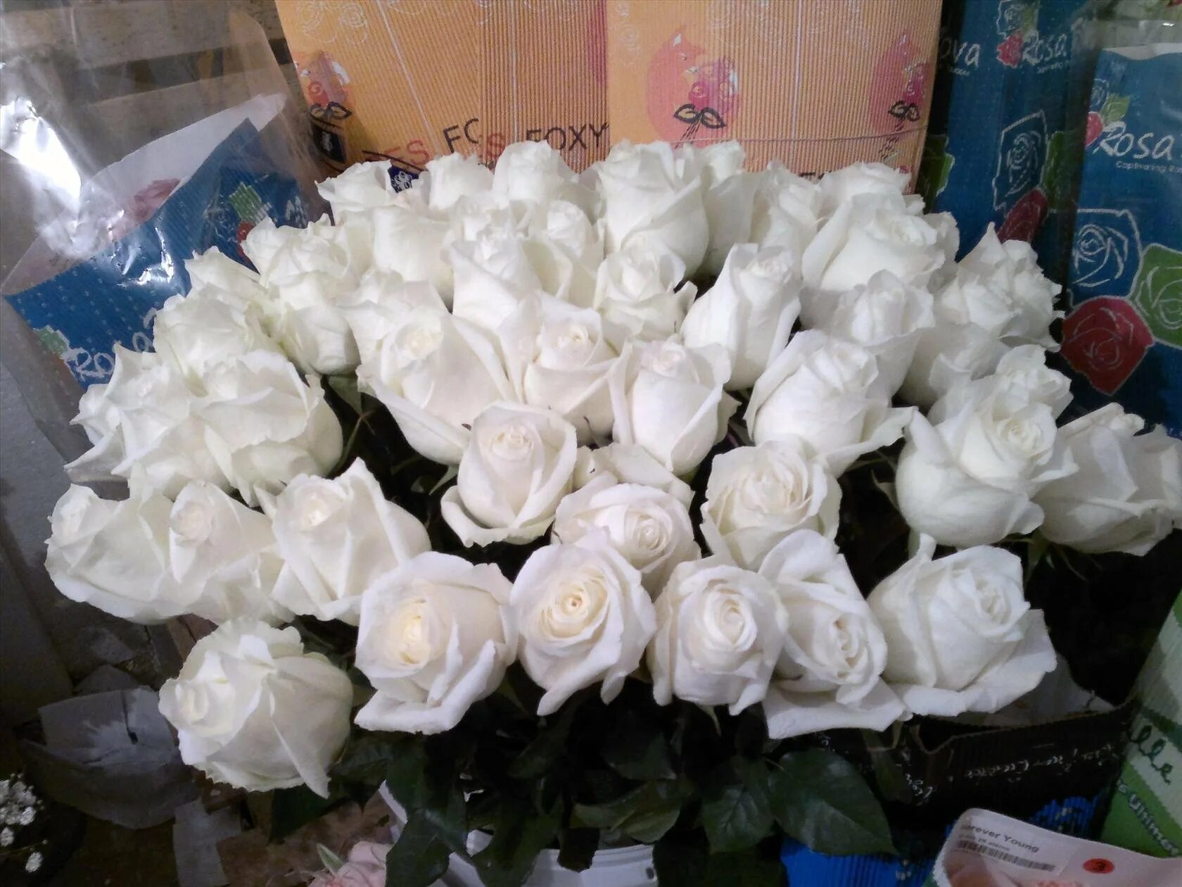 Сон белые розы букет. Шикарный букет белых роз. Красивый букет белых роз. Голландские розы белые. Красивый букет из белых роз.
