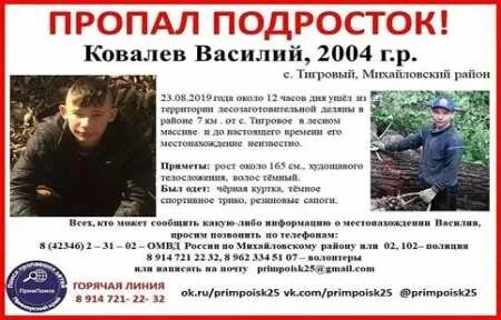 Объявления г артема