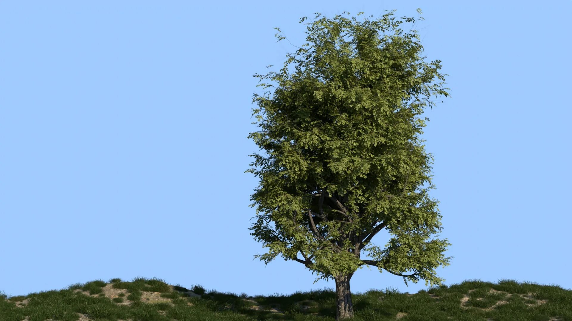 Blend tree
