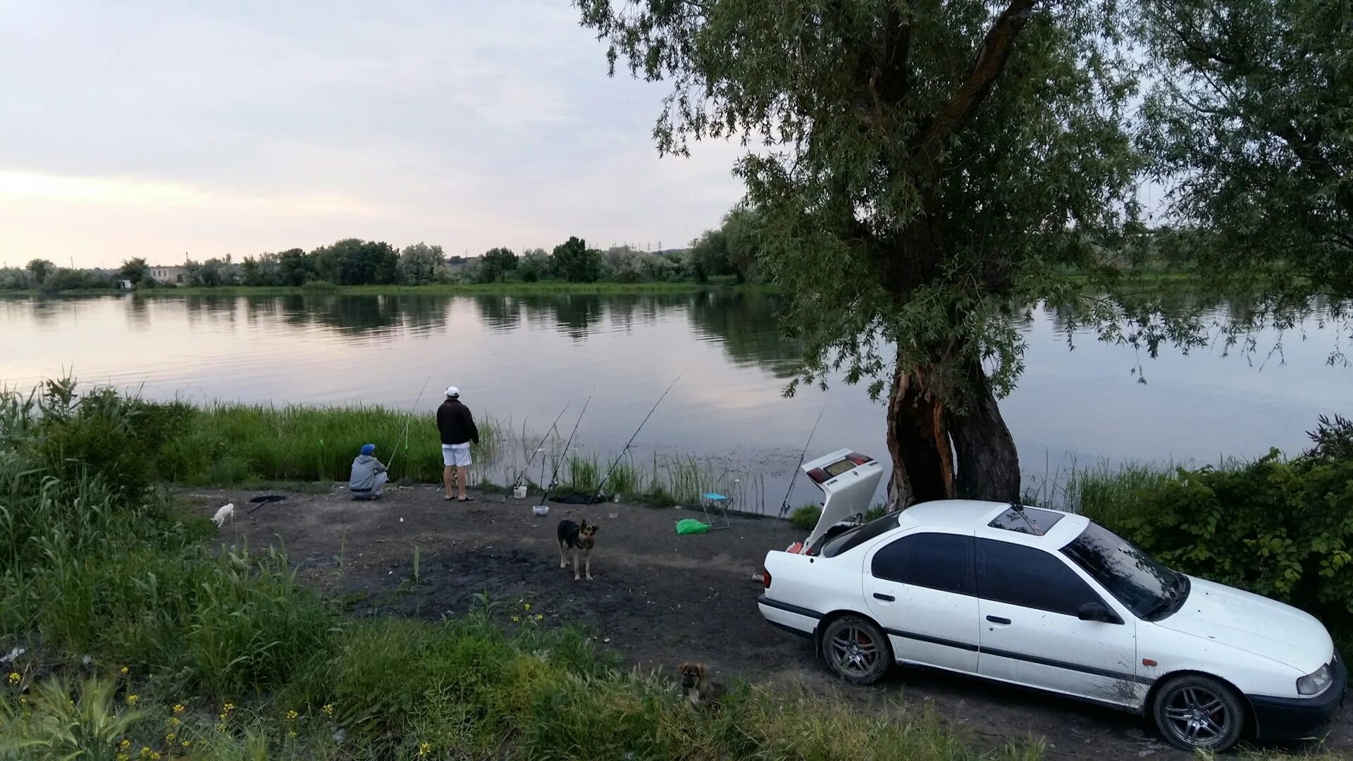 Подъезды к водоемам. Река Конопелька пляж. Машина в воде. Озеро Невское. Река Конопелька Московская область.