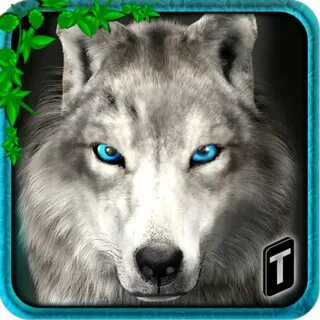 Wolf adventures