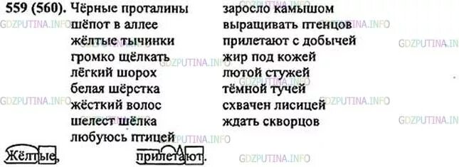 Русский язык 5 класс ладыженская 559. Просклонять слова береза вечер оттепель. Русский язык 5 класс упражнение 559. Русский язык 5 класс 2 часть упражнение 559. Русский язык 5 класс упражнение 559.