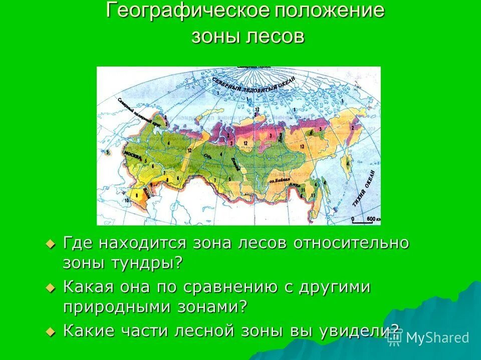 Рязанская область какая природная зона. Где находится зона лесов. Географическое положение зоны лесов. Расположение зоны тундры. Положение зоны лесов.