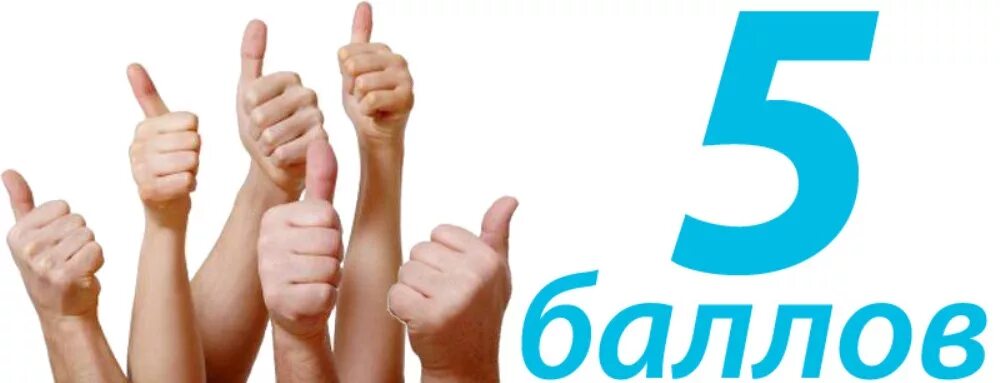 Педагоги Подмосковья получат доплаты в размере 5 тысяч рублей - РИА Новости, 24.
