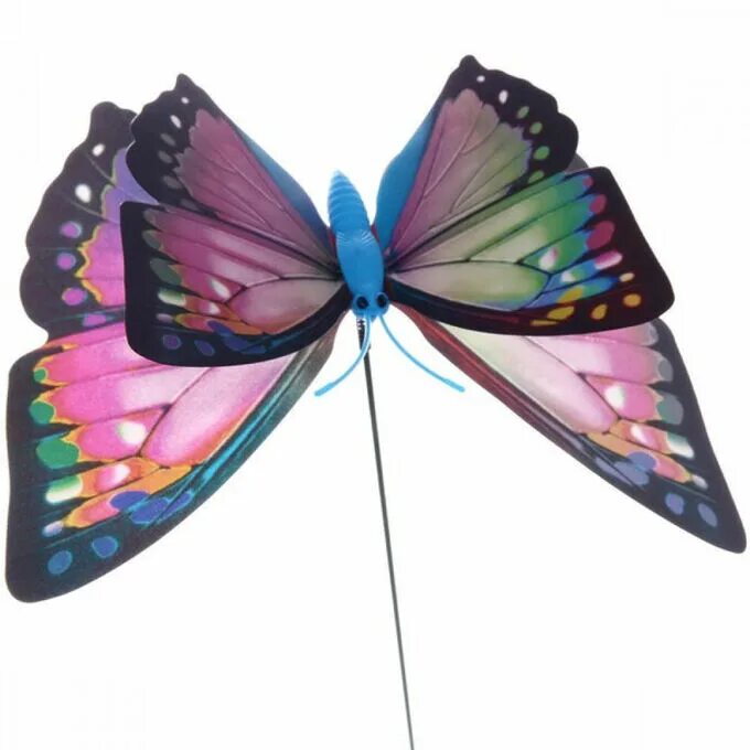 Butterfly x