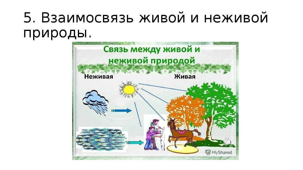 Переход питательных элементов от неживой природы. Связь живой и неживой природы 2 класс окружающий мир. Схема связи живой и неживой природы 2 класс окружающий мир. Взаимосвязь живой и не дивой природы. Взаимосвязь между живой и неживой природой.