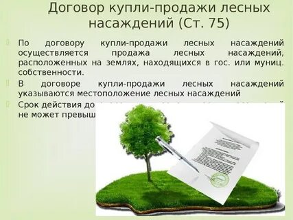 Срок пользования лесным участком