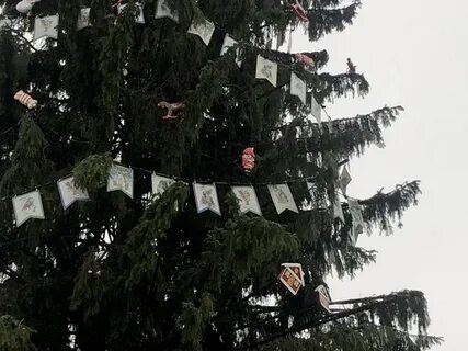 Что повесили в израиле на елку фото