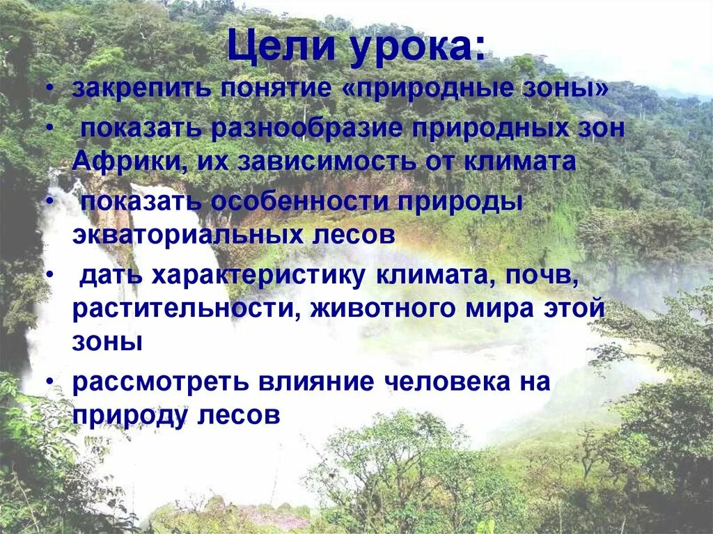 Особенности климата экваториальных лесов в Африке. Влажные экваториальные леса климат почва растения животные. Природные зоны Конго. Зона экваториальных лесов характеристика почва. Природная зона влажные экваториальные леса особенности климата