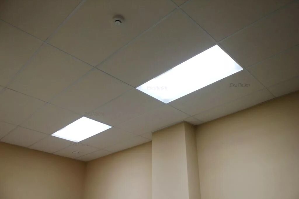 Светодиодный светильник 600х300 40вт. Светильник светодиодный 1200 600. Светильник армстронг 600х600. Светильник в армстронг 1200х600 светодиодный. Светильник светодиодный 1200 600.