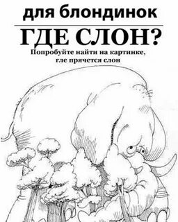 Загадка смешные взрослым 18