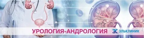 Андрология сайт