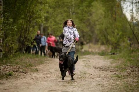 Предлагать гулять