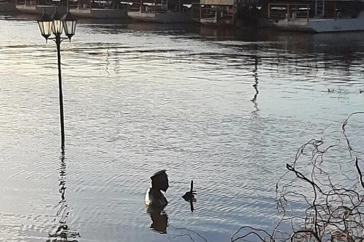 Наводнение Коломна Бобреневский мост. Уровень воды в Оке Коломна. Коломна половодье. Река разлилась в Коломне. Уровень реки коломна