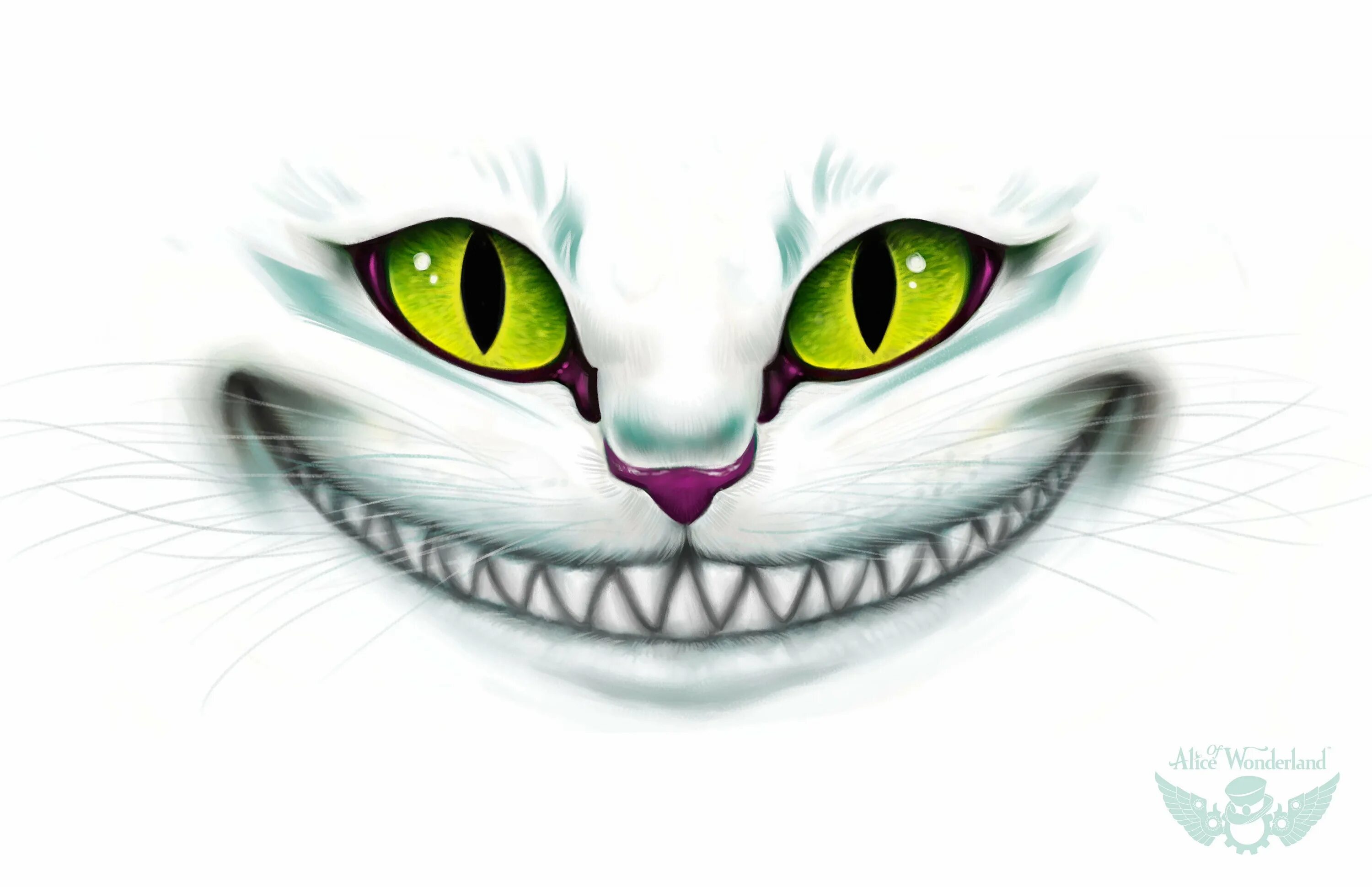Чеширский кот из алисы в стране чудес. Чеширский кот из алисы улыбка. Чеширский кот. Чеширский кот улыбка без кота. Алиса в стране чудес улыбка чеширского кота.