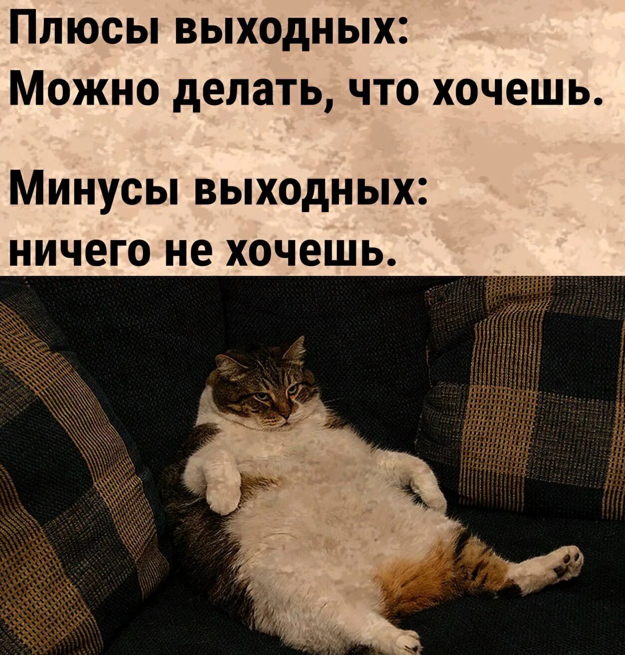 Что делать на выходных. Плюсы выходных. плюсы выходных можно делать что хочешь. делаю все что хочу минус.