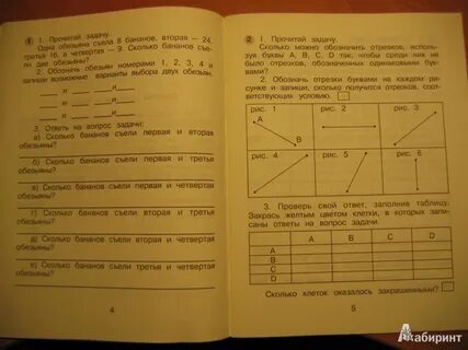 Математика и информатика учимся решать задачи