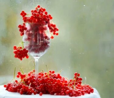 Прекрасный вкус