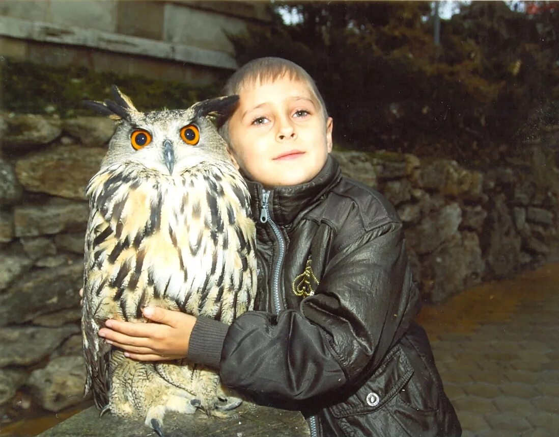 Совиный дом сова. Сова мальчик. Хедвиг гарри поттер. Совенок мальчик. Совенок малыш.