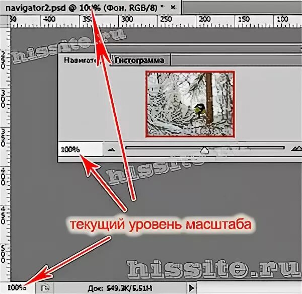 Открой масштабирование. Масштаб в фотошопе. масштабирование в фотошопе.