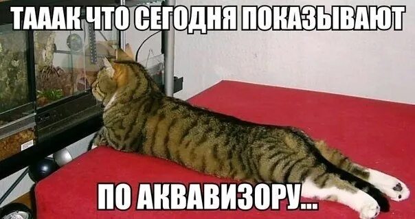 Human i request your assistance. Medicare офис. Женщина на переговорах. Require assistance. Самозанятые медицинское обслуживание.