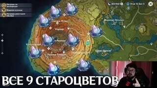 Где староцветы геншин