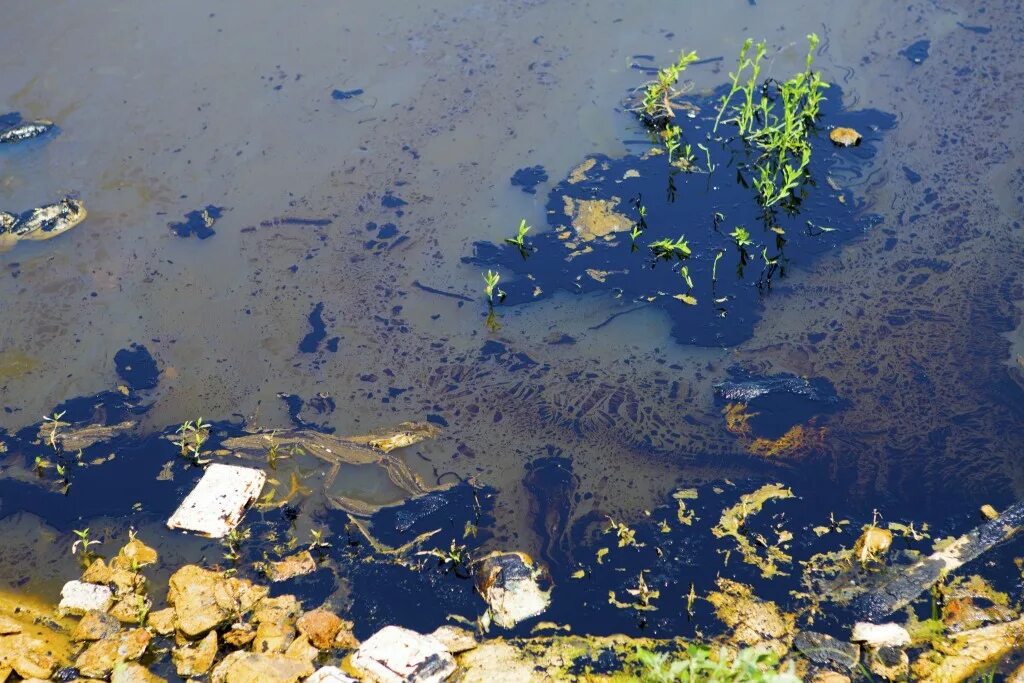 Шельф мексиканского залива. Загрязнение воды. Южная озереевка разлив нефти. Загрязнение воды нефтепродуктами. Разлив нефти в море.