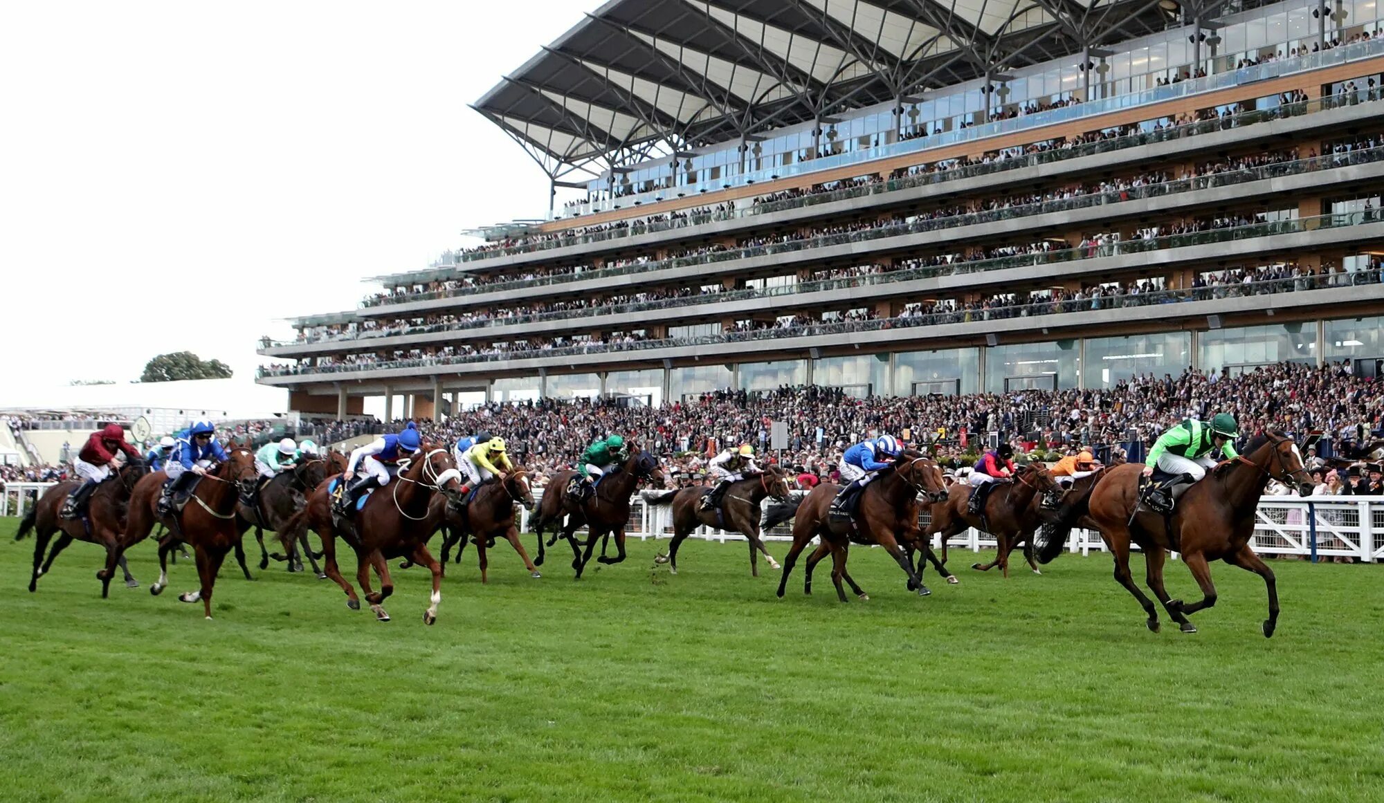 Скачки в квартире. Спортивные лошади скачки. Большие скачки. Конные скачки старт. Ascot racecourse великобритания.