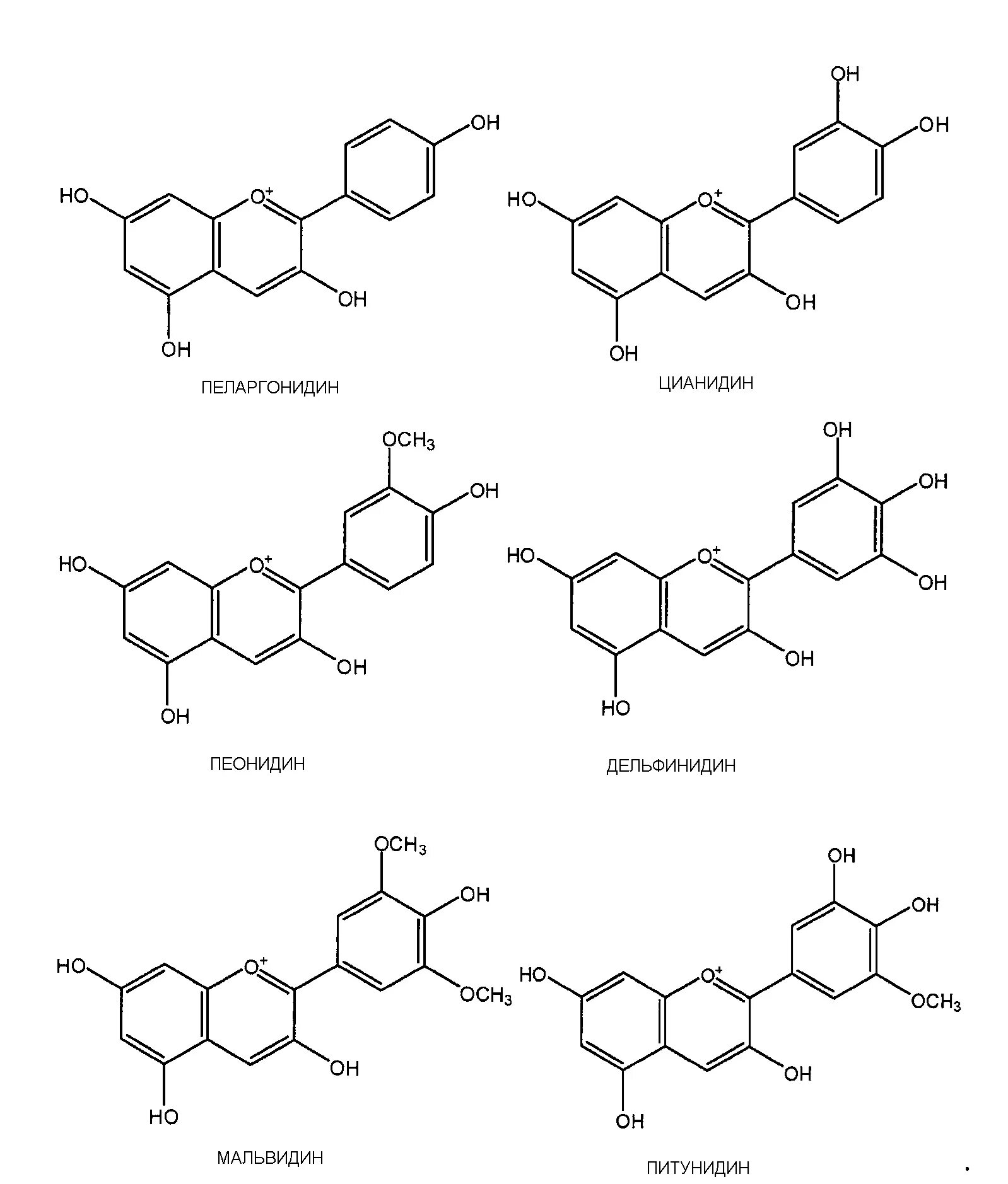 Синтез антоцианов. Антоцианы формула структурная. Цианидин структурная формула. Пеларгонидин формула. Антоциан формула химическая.