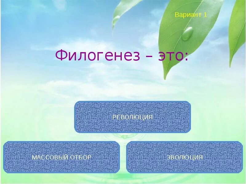 Филогенез это развитие. Филогенез. Додарвинский период развития биологии. Филогенез это в биологии. Филогенез это в психологии.