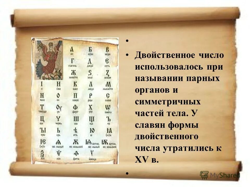 Род в древнерусском языке. Двойственное число в старославянском языке. Двойственное число в древнерусском. Двойственное число в древнерусском языке. Двойственное число в русском примеры.