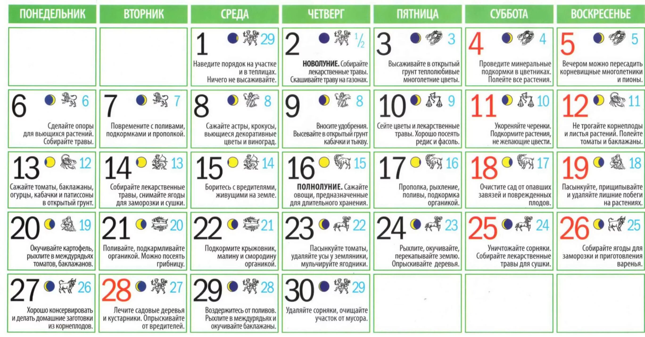 можно ли есть рыбу на вербное воскресенье. почему вербное воскресенье называется вербным. можно ли в воскресенье. вербное воскресенье детям о празднике. вербное воскресенье в церкви.