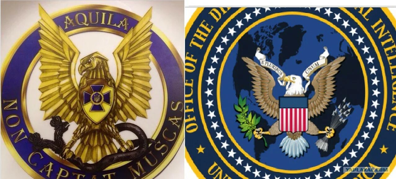 Контрразведка украины. Герб сбу украины. герб контрразведки сбу. эмблема контрразведки украины. сбу логотип.