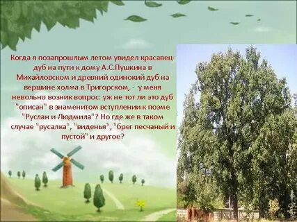 Сочинение одинокий дуб