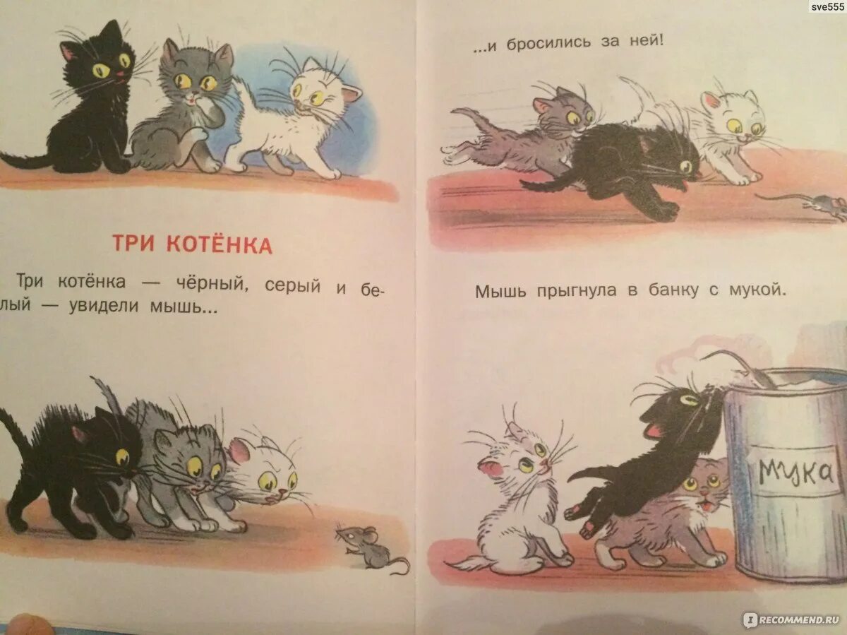 Сутеев 3 котенка. Сказки Сутеева три котенка. Книга Сутеев три котенка. Три кота Сутеев. Три котенка слова