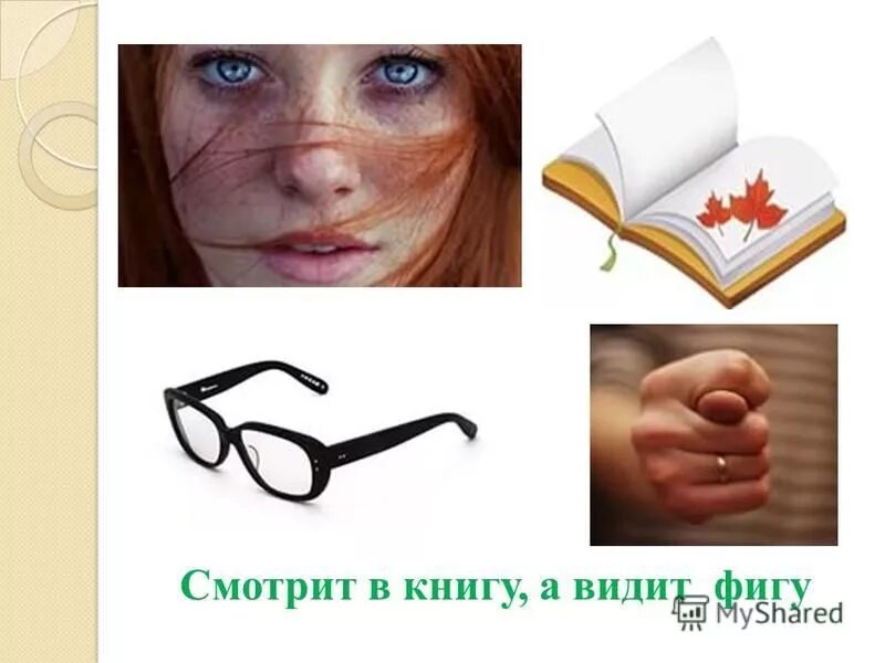 Смотришь в книгу видишь ы гу. Смотрю в книгу вижу книгу. Смотрю в книгу вижу фигу. Смотрю в книгу вижу фигу. Конкурс угадай пословицу по картинке.