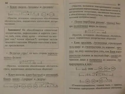 Куст анализ слова