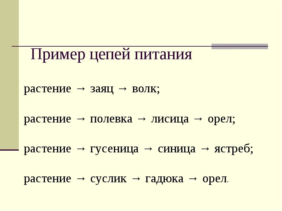 Составьте 3 5 пищевых цепей. Пять цепей питания 5 класс. Пищевые Цепочки 5 класс примеры. Цепочка питания животных 7 класс. Цепи питания 3 класс.