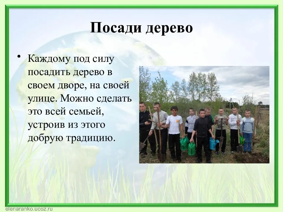 Оставить добрый след на земле. Посади свое дерево. оставь добрый след на земле. стихи на тему посадки деревьев. стихотворение сажайте деревья.