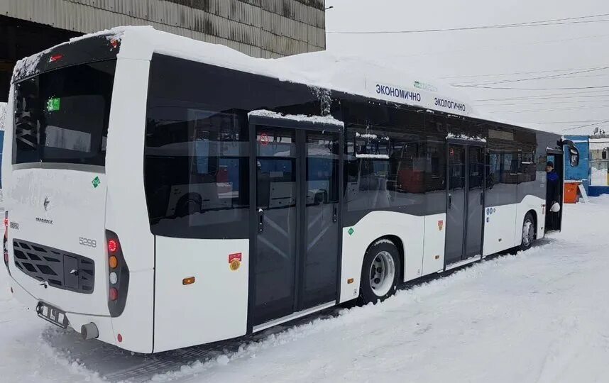 Маршрутка 844 расписание спб луга. Маз 216 пассажиравтотранс. С, д требуются. Автобус работа спб. Автобусы в питере.