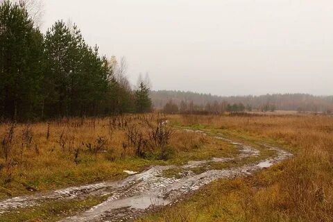 Постелите мне степь