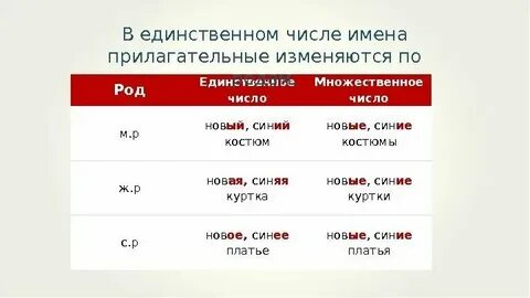 Племя единственное число
