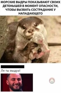 Момент угроза