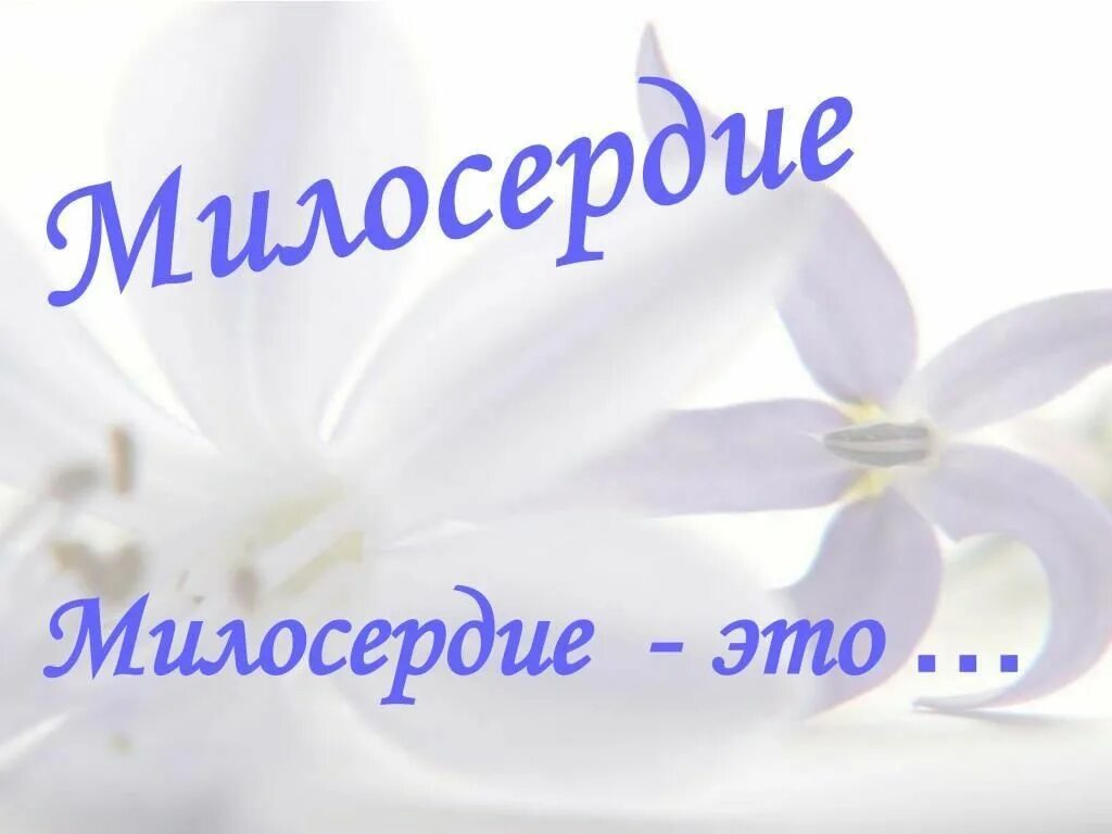 Сострадание презентация. О милосердии. Милосердие презентация. Шаблоны презентаций по теме "Милосердие". Любовь милосердна