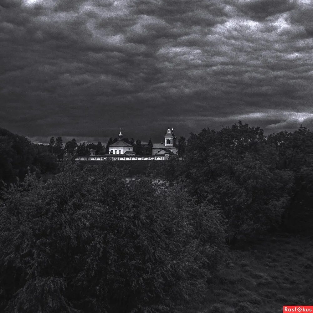 зарево в лесу. темный лес twilight forest. про сумрака. ночной дозор, уровни сумрака. темная природа.