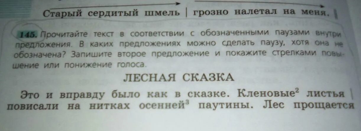 Прочитайте текст молочные технологии ответы. Это и вправду было как в сказке кленовые листья. Русский язык 5 класс это и вправду было как в сказке. Это и вправду было как в сказке грамматическая основа. Какие предложения показывают текст.