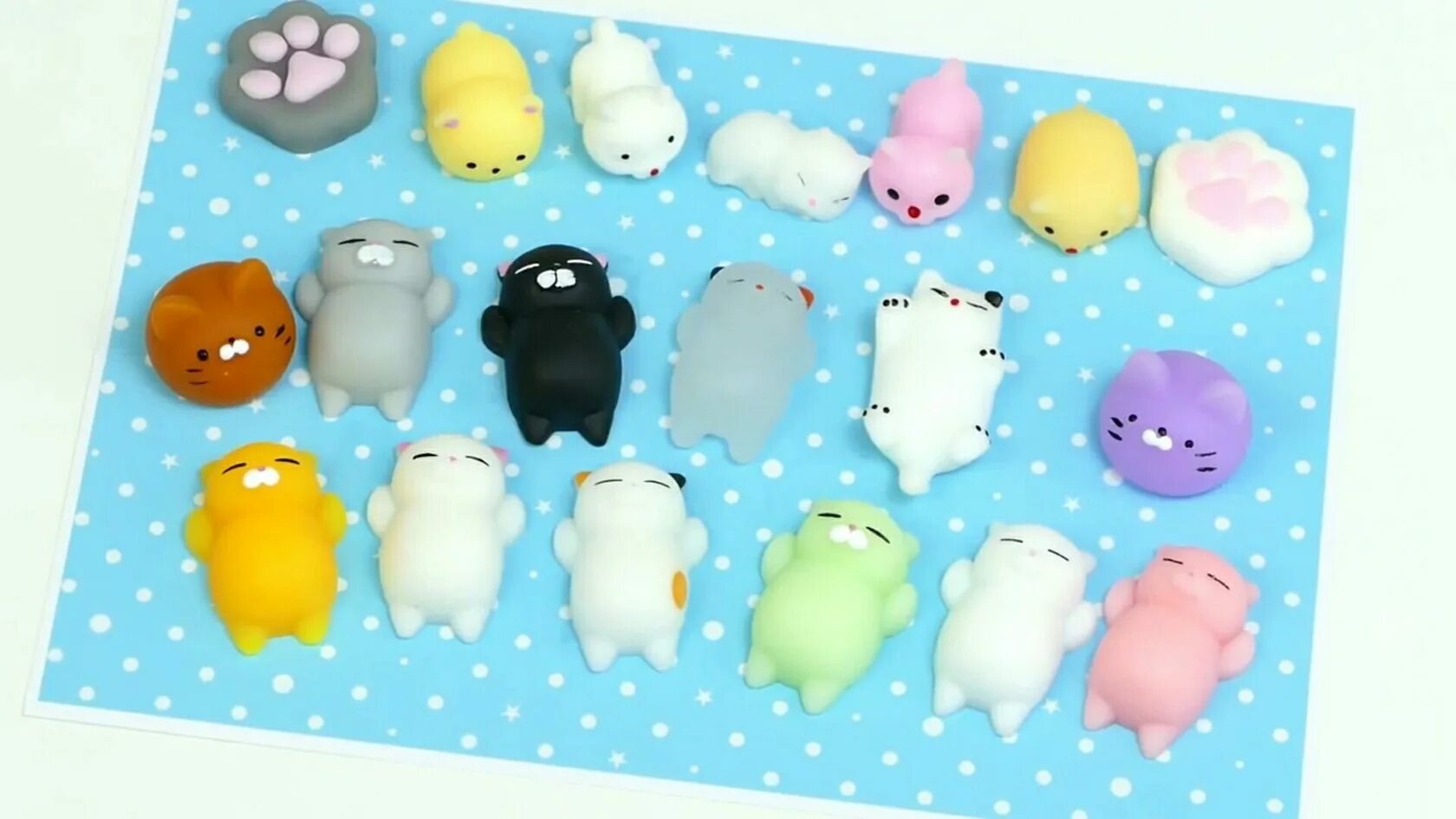 Поп сквиш симпл. Поп сквиш симпл. Поп сквиш симпл. Сквишь симпл димпл. Поп сквиш симпл.