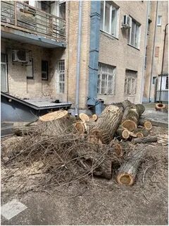 Обрезка ростов