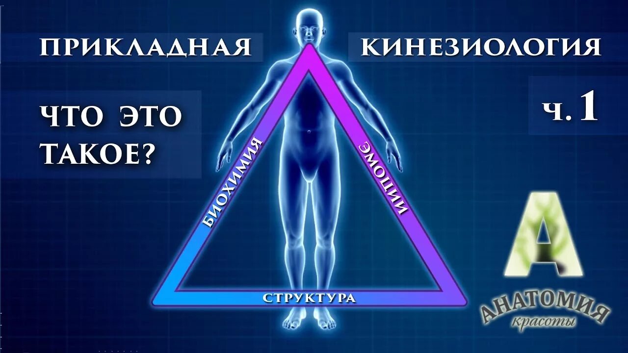 Прикладная кинезиология. Инициология. Прикладная кинезиология тестирование. Знак прикладной кинезиологии. Практическая кинезиология